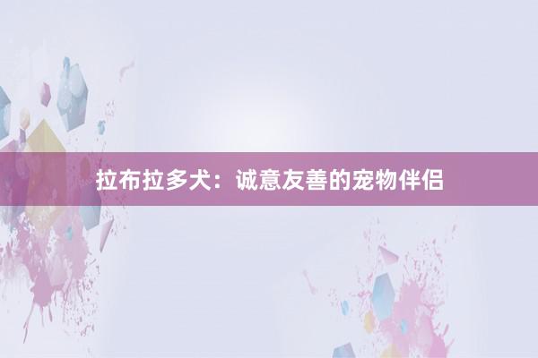 拉布拉多犬:诚意友善的宠物伴侣