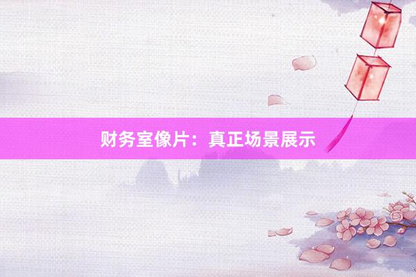 财务室像片：真正场景展示