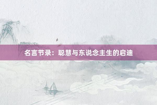 名言节录：聪慧与东说念主生的启迪